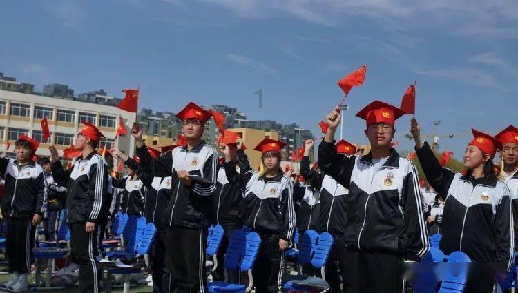 救援可爱小猪仔